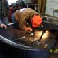 T-Bucket Mens Ministry